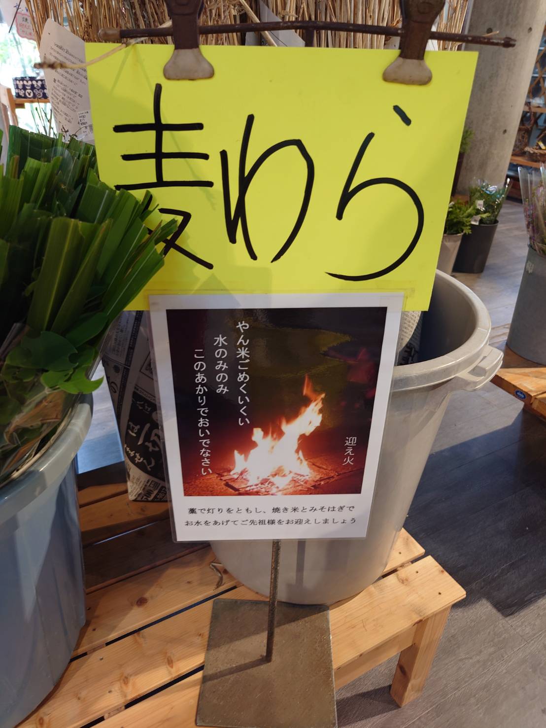 やん ご めく いく い